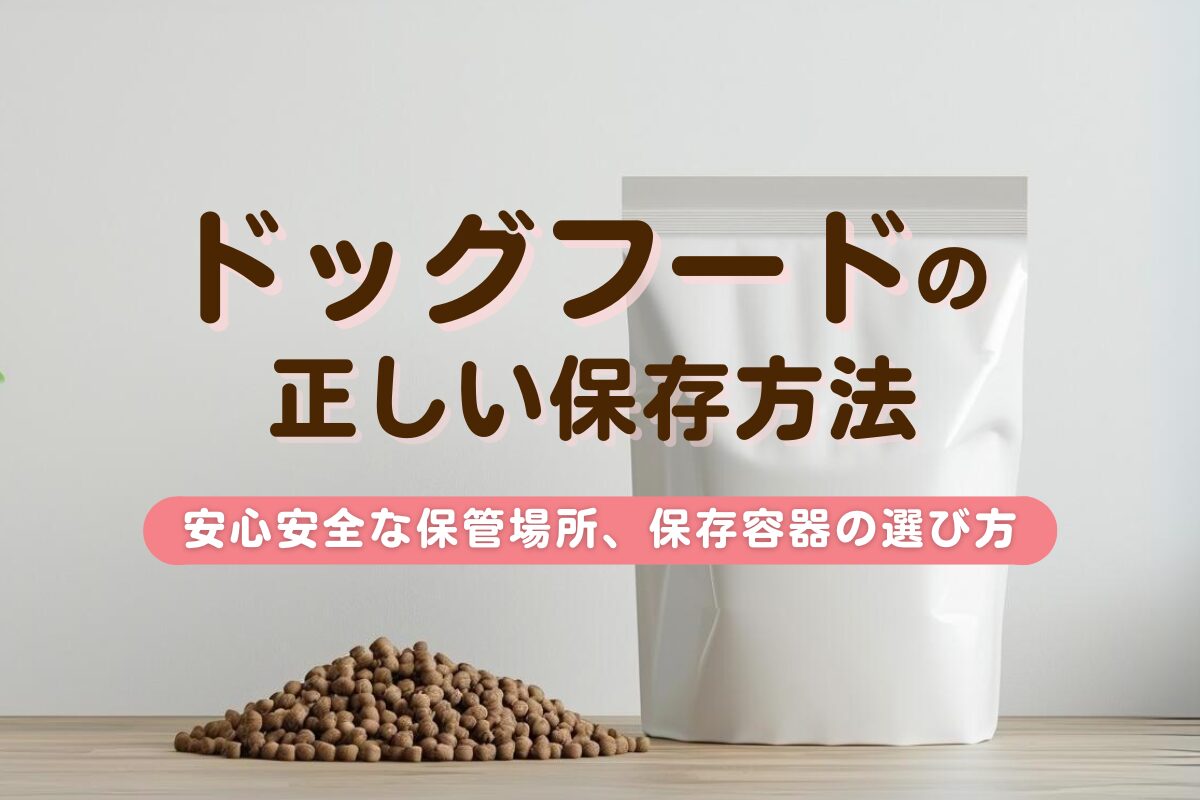 ドッグフードの正しい保存方法をタイプ別に解説！安心な保管場所や保存容器の選び方