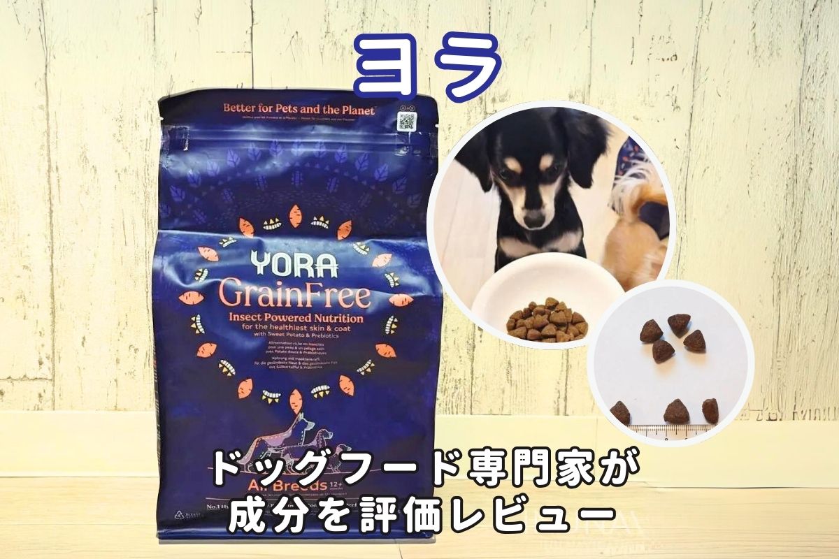 ヨラドッグフードの口コミ評判｜実際に購入して専門家が徹底評価 