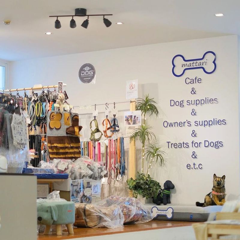 【Cafe & zakka mattari】＠rogue_handmade（チワックスのショコアンアリ🐾）横浜のペット同伴OKなドッグカフェ