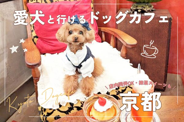 【京都駅周辺】人気ドッグカフェ20選！愛犬同伴で抹茶スイーツや観光を楽しめるカフェを紹介【2024年最新】