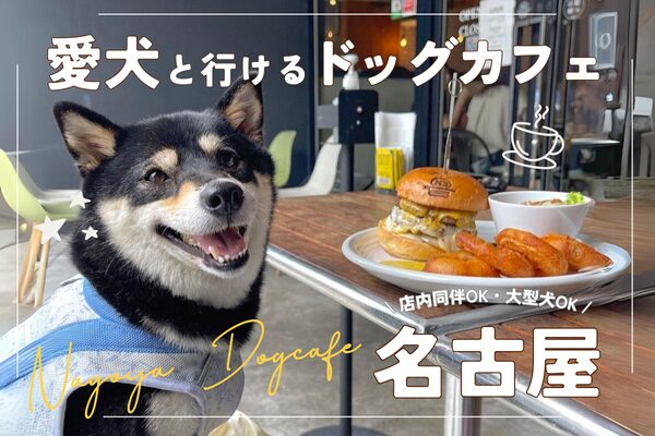 【名古屋】人気ドッグカフェ20選！犬同伴可能なおしゃれカフェやドッグラン併設カフェも紹介