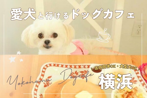 【横浜】おすすめドッグカフェ20選！SNS人気カフェや大型犬同伴OKのお店も【2024年最新】