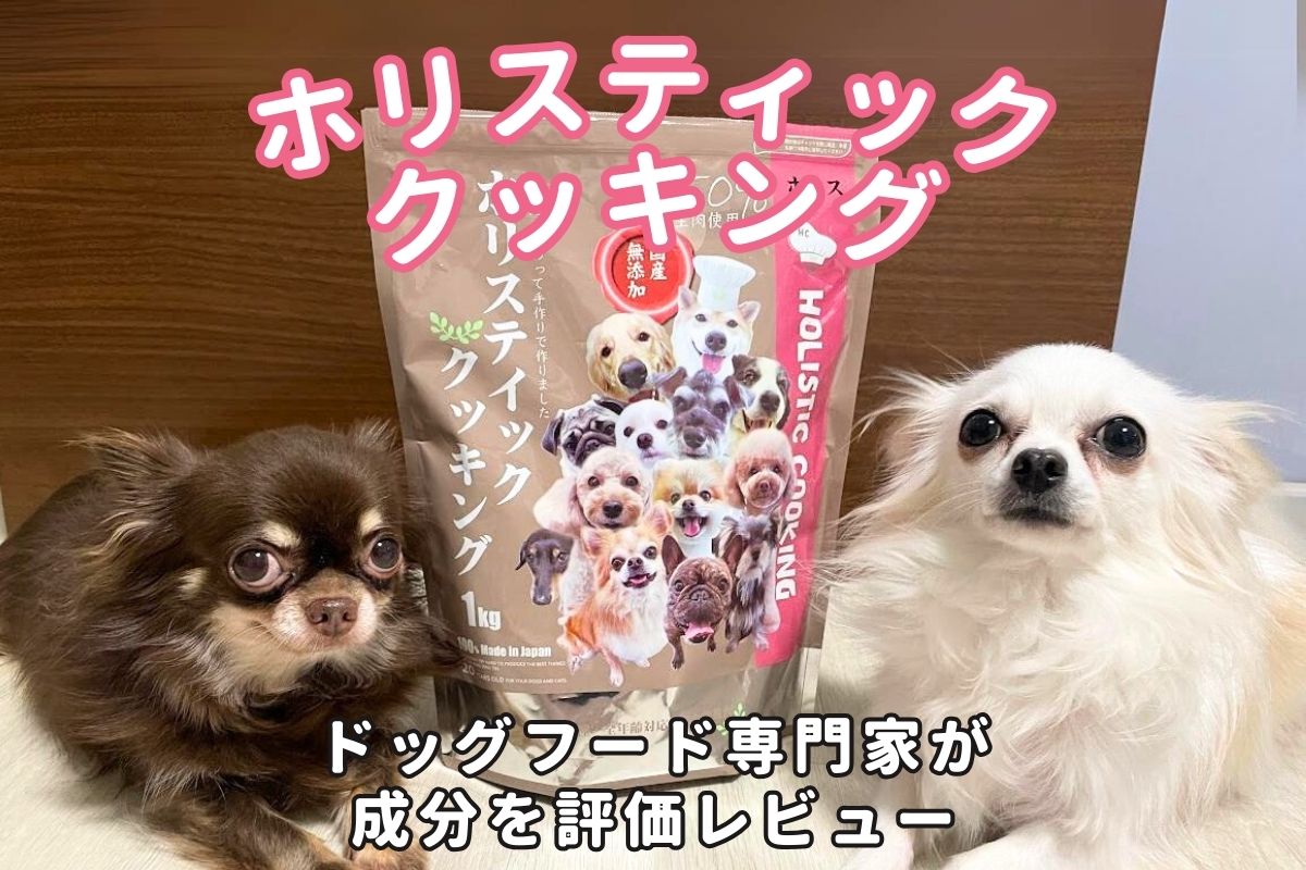 ホリスティッククッキングドッグフードの口コミ評判は？愛犬の実食 