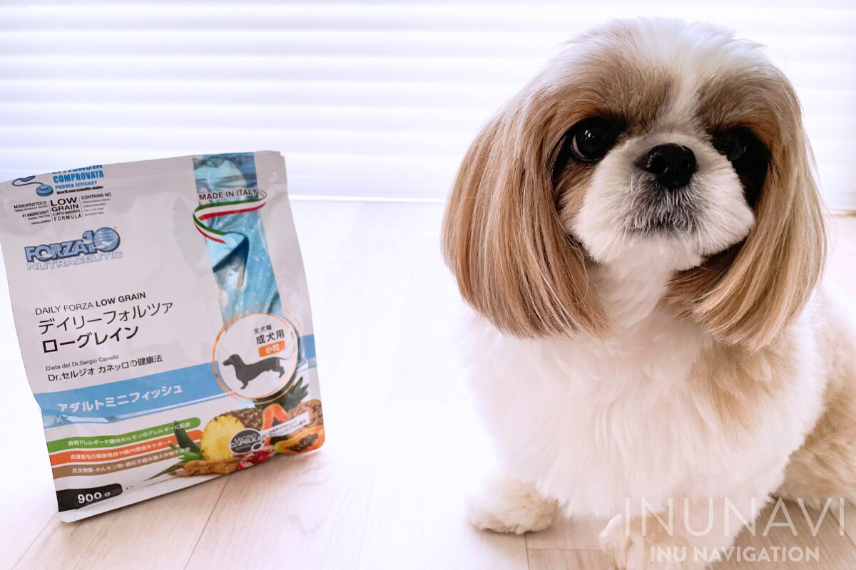 FORZA10 デイリーフォルツァ ミニ フィッシュ 小粒 8kg 犬用ドライフード FORZA10 デイリーフォルツァ 犬 アダルト ミニ フィッシュ 20kg