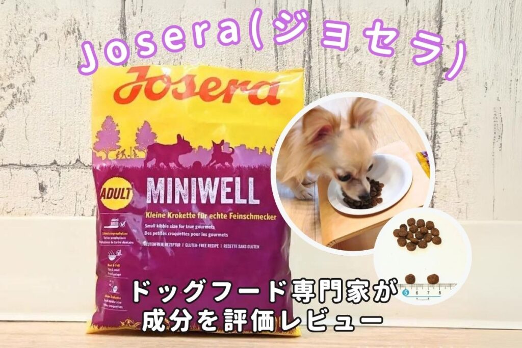 Josera(ジョセラ)ドッグフードの口コミ評判｜専門家が安全性や栄養バランスを徹底評価