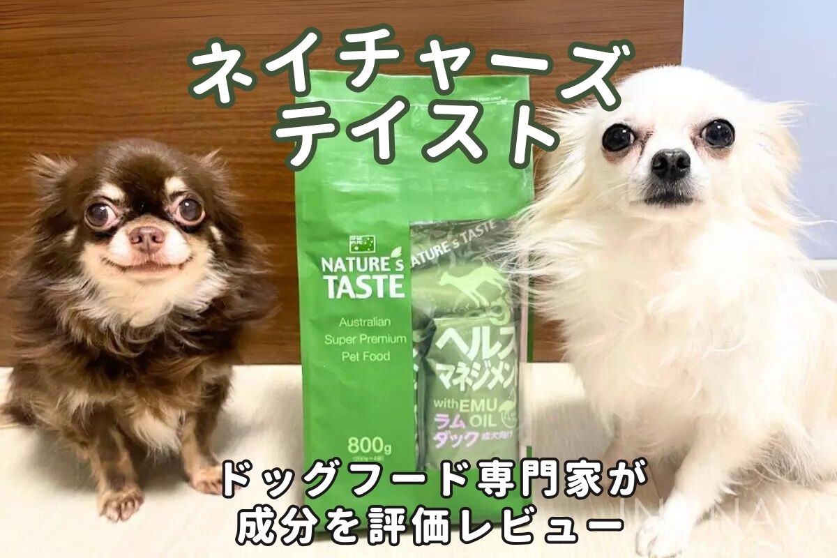 ネイチャーズテイストドッグフード口コミ評価は？愛犬レビュー！専門家が原材料や成分値を徹底分析