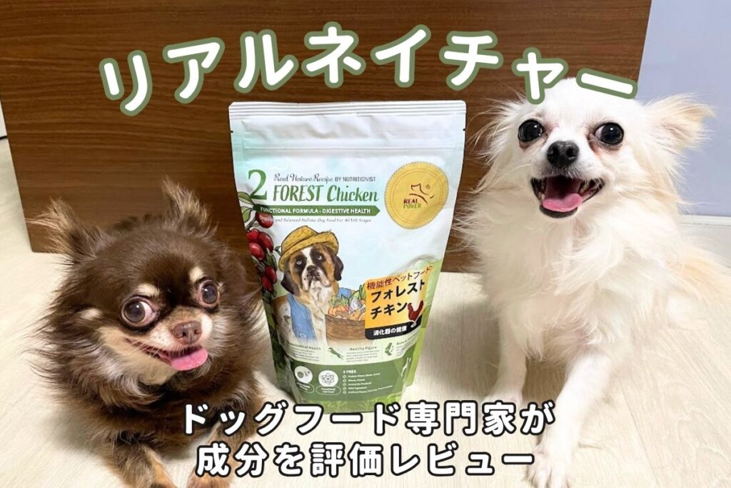 リアルネイチャードッグフードの口コミ評価は？愛犬レビュー！専門家が原材料や成分値を徹底分析