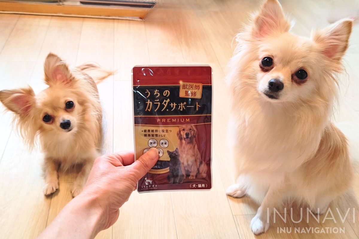 うちのカラダサポートプレミアム」を犬の管理栄養士が徹底検証！口コミ 