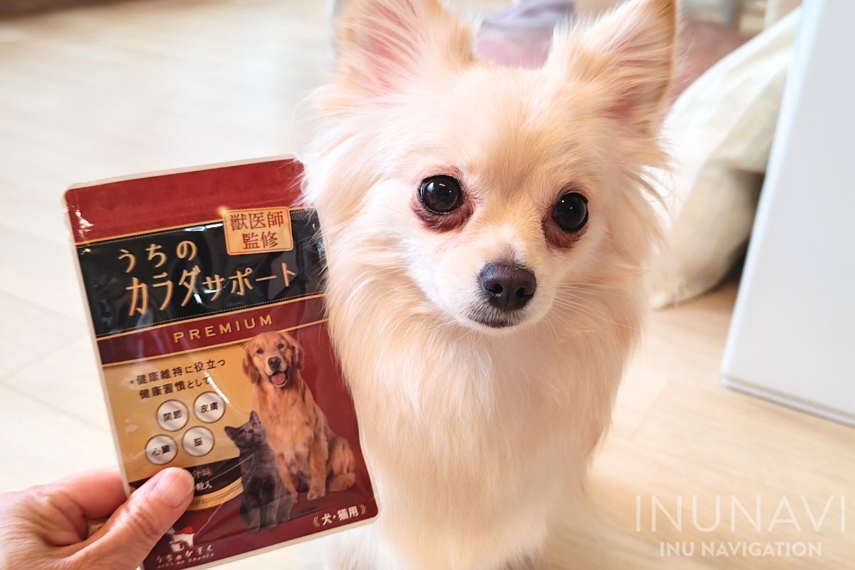 うちのカラダサポートプレミアム」を犬の管理栄養士が徹底検証！口コミ 