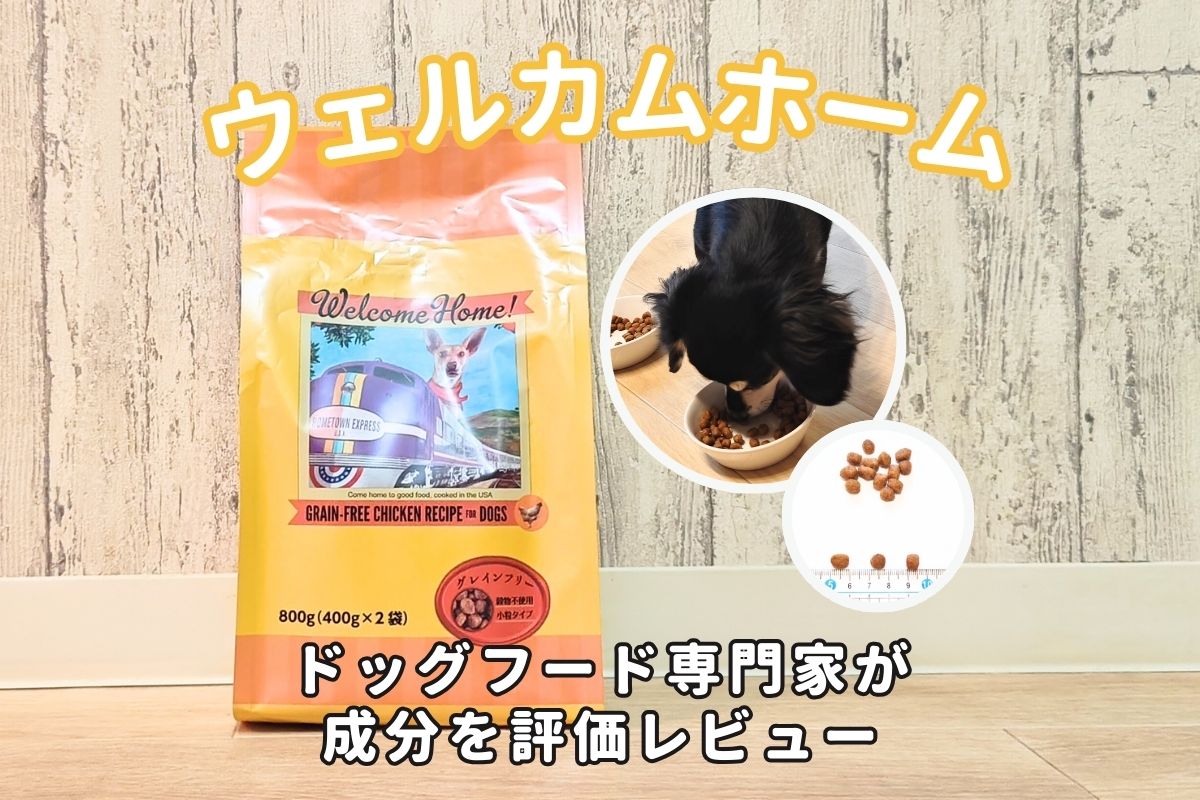 ブリスミックス グレインフリー 穀物不使用 サーモンレシピ 6kg 