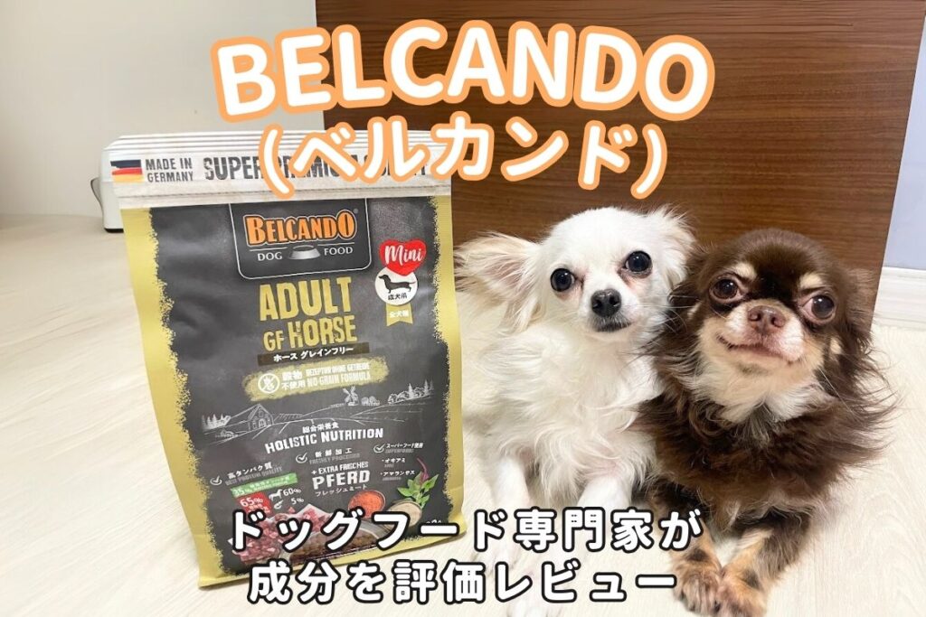 BELCANDO（ベルカンド）の口コミ評判は？安全性と原材料を専門家が徹底分析！