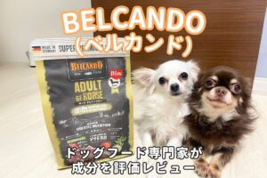 ベルカンド（BELCANDO）