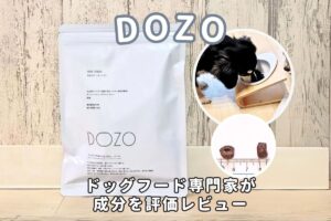 DOZO（ドーゾ）