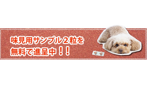 キングアガリクス100 ペット用 ペット用品 ペットフード abhasurgy.com