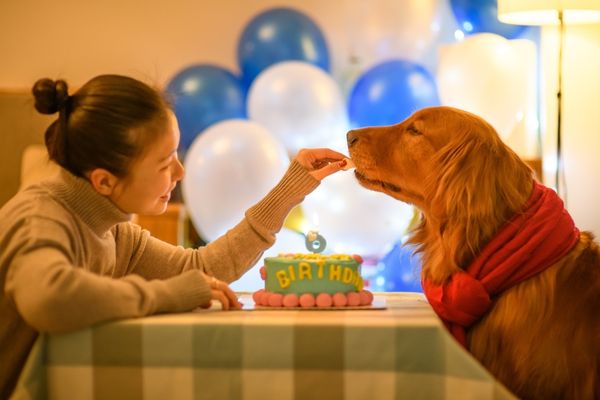 犬の誕生日をお祝いする飼い主の様子