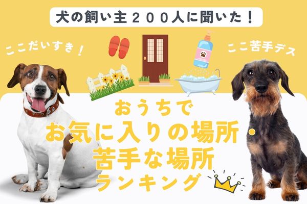 わんちゃんのおうちでお気に入りの場所・苦手な場所ランキング【飼い主200人アンケート】