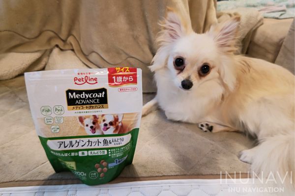 ELMO ドッグフード 成犬用 リッチインチキン 5.4㎏ elmo（エルモ 