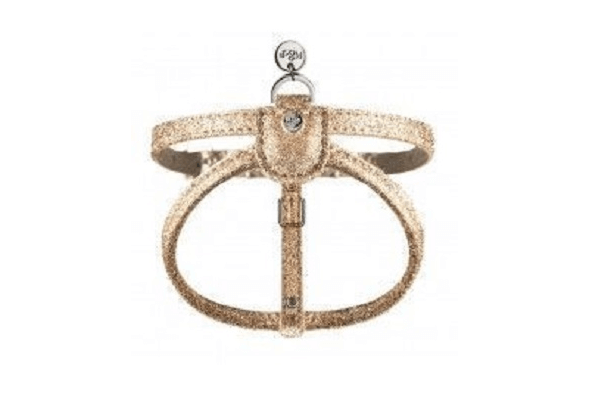 犬用ブランド首輪おすすめ人気12選 Tiffanyやルイヴィトンなどオシャレなものは Inunavi いぬなび