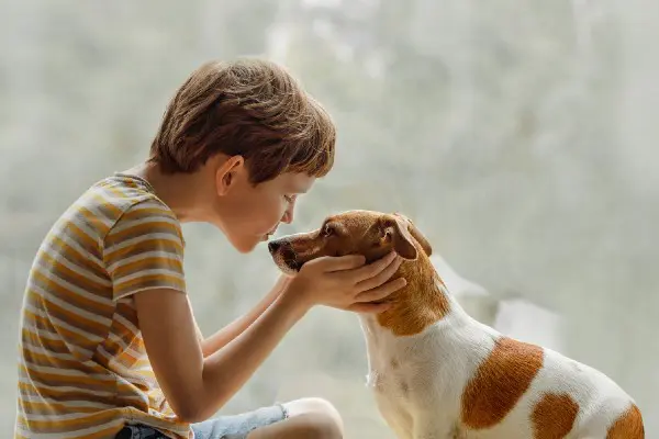 犬は飼い主に似る 人間みたいな行動をするおもしろエピソードも 犬の飼い主672人アンケート Inunavi いぬなび