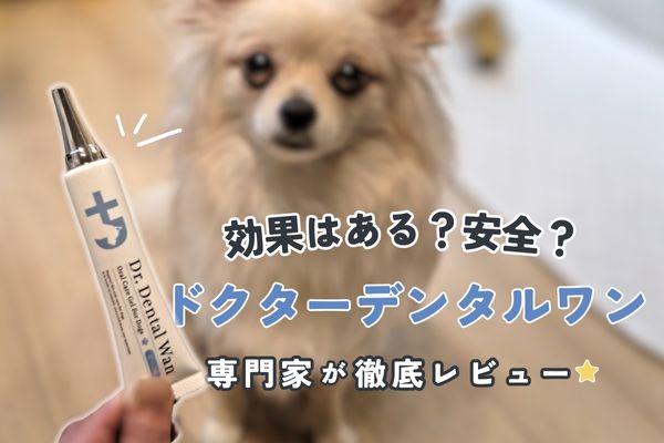 ドクターデンタルワンは悪い口コミが多い？怪しいはウソ？成分や安全性  