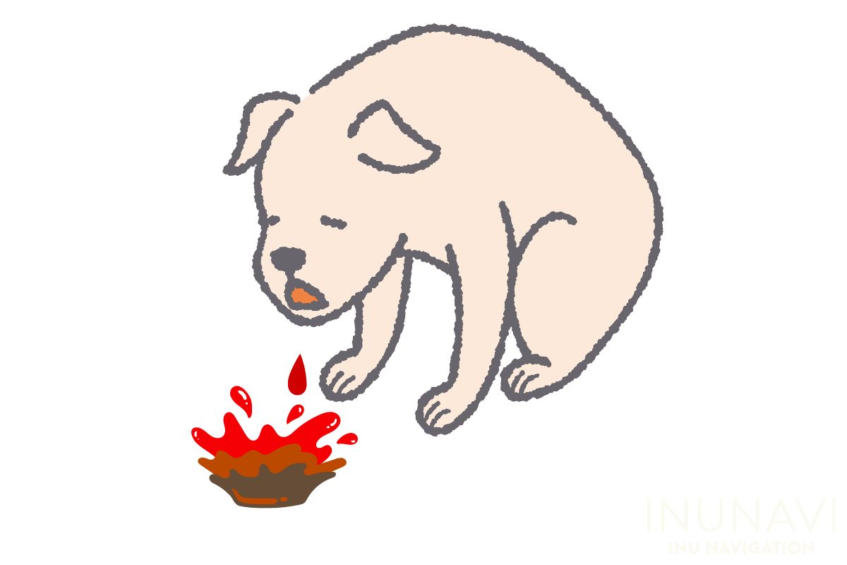 犬 嘔吐 茶色