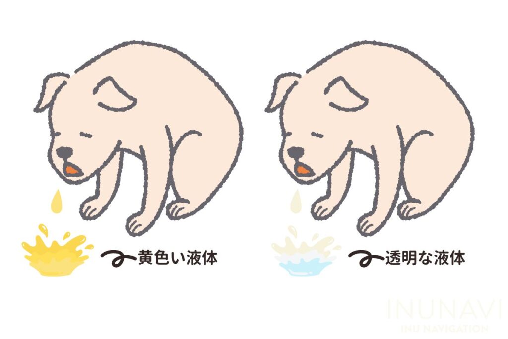 <犬の嘔吐>吐く原因と考えられる病気、嘔吐物の色別対処法【獣医解説】 | INUNAVI(いぬなび)