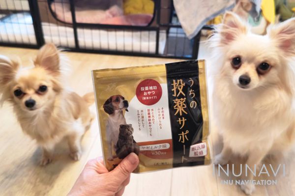 「うちの投薬サポート」を犬の管理栄養士が徹底検証！与え方や食いつきの良さを紹介