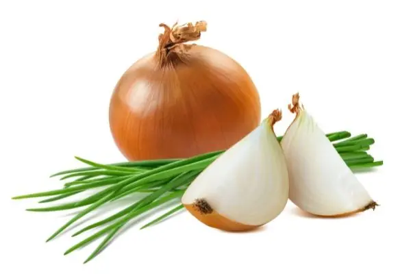 犬が食べてはいけないものを解説 36種類の症状や対処法 加熱調理が必要な食材も紹介 Inunavi いぬなび