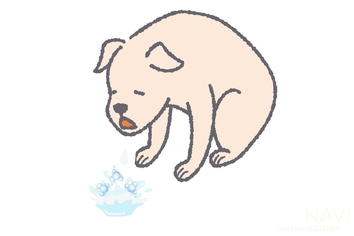 犬が白い泡を吐く 