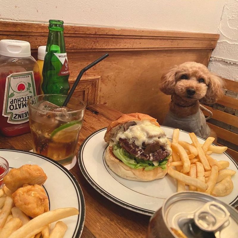 【 Burger Mania Ebisu】＠hana__choco（chocoreito）恵比寿のペット同伴OKなドッグカフェ