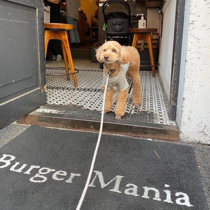 Burger Mania Ebisu】＠hana__choco（chocoreito）恵比寿のペット同伴OKなドッグカフェ