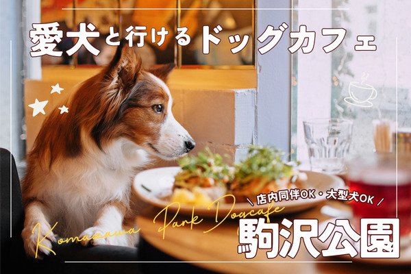 【駒沢公園】愛犬と楽しむドッグカフェ15選｜大型犬・店内同伴OKのお店も【2024年最新】