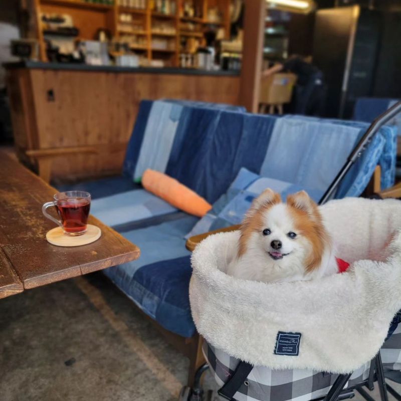 【KOMAZAWA PARK CAFE】＠tomo__tiara（tomo）駒沢公園のペット同伴OKなドッグカフェ