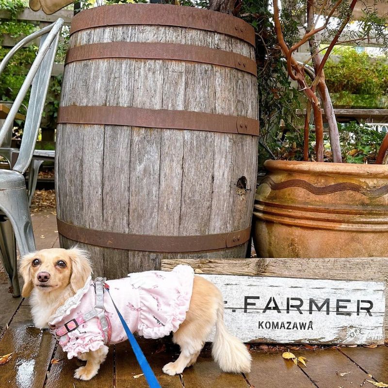 【Mr.-FARMER-駒沢オリンピック公園】＠lara.ann_.bub_.dog（Lara＆アンくん＆バブ様）駒沢公園のペット同伴OKなドッグカフェ