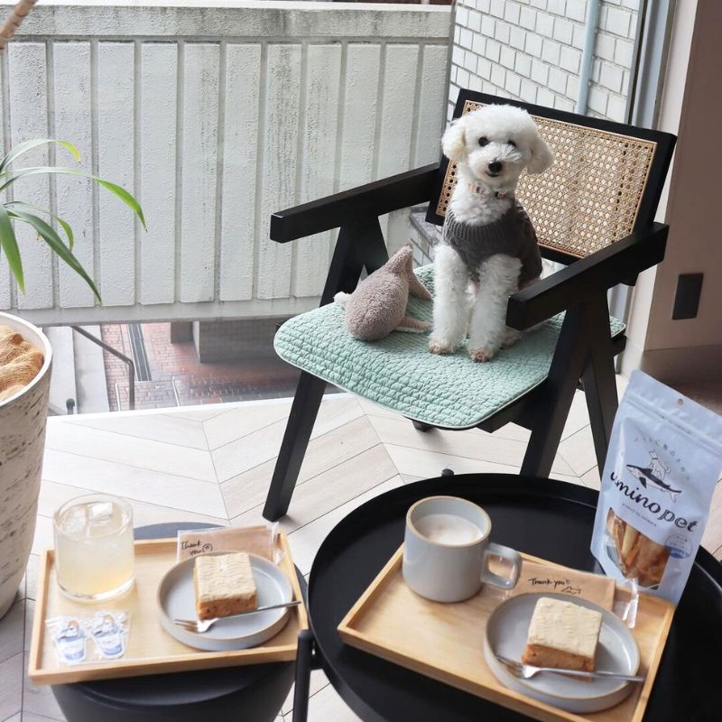 【SHARK COFFEE 】＠reo_gram160915（Reo♕）渋谷のペット同伴OKなドッグカフェ