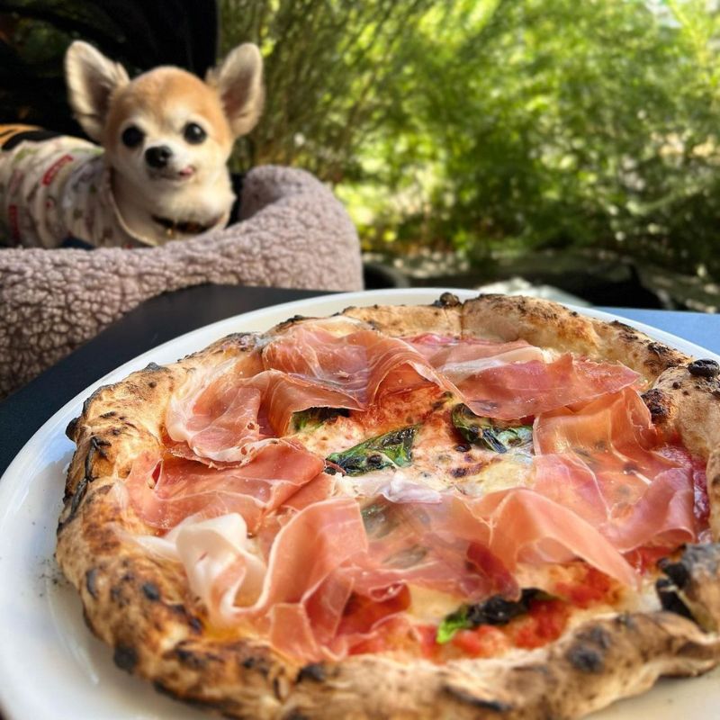 【pizza marumo】@eri_t28（高倉絵理 𝙀𝙧𝙞 𝙏𝙖𝙠𝙖𝙠𝙪𝙧𝙖 _グルメ・ホテル・旅行・わんことお出かけ）恵比寿のペット同伴OKなドッグカフェ