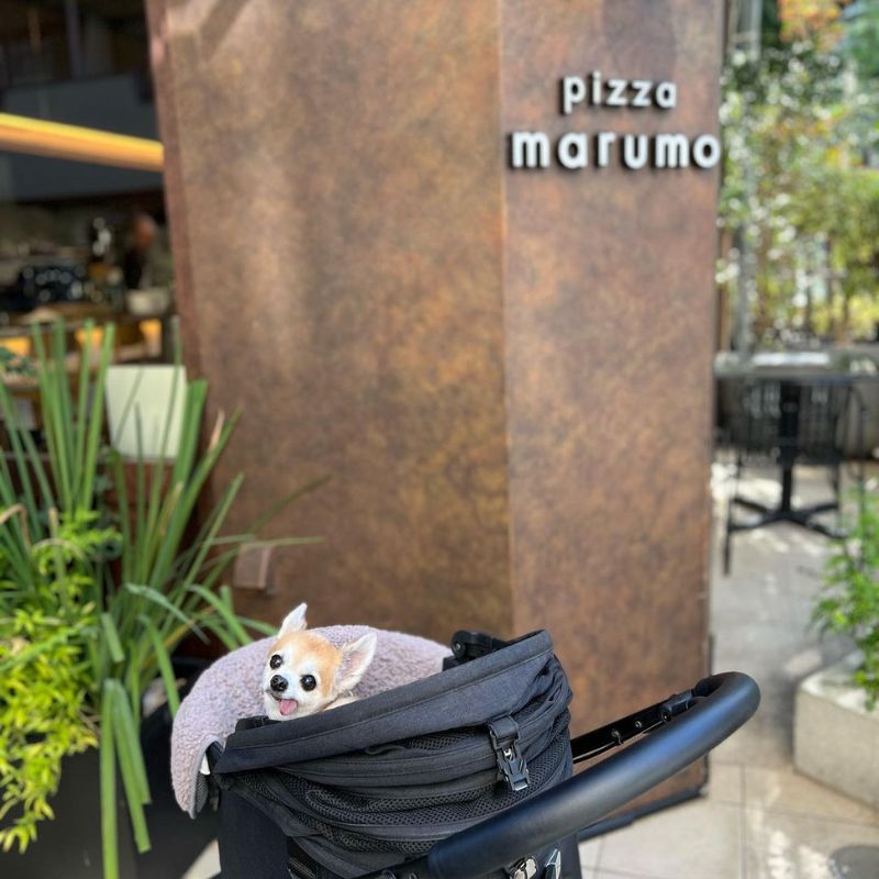 【pizza marumo】@eri_t28（高倉絵理 𝙀𝙧𝙞 𝙏𝙖𝙠𝙖𝙠𝙪𝙧𝙖 _グルメ・ホテル・旅行・わんことお出かけ）恵比寿のペット同伴OKなドッグカフェ