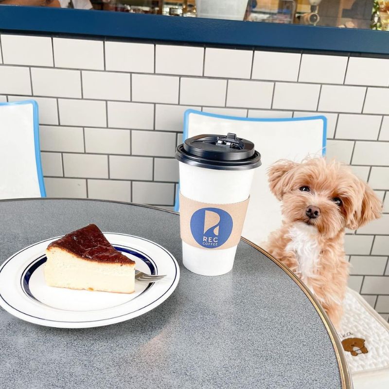 【レックコーヒー 渋谷東店 】＠fika115___（ぼく フィーカ！）渋谷のペット同伴OKなドッグカフェ