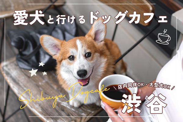 【渋谷の犬OKカフェ】駅近徒歩15分のドッグカフェ12選【2024年最新】