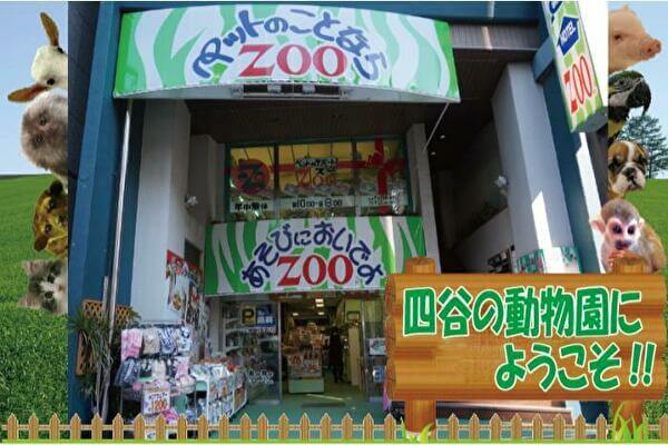 ZOO四谷店