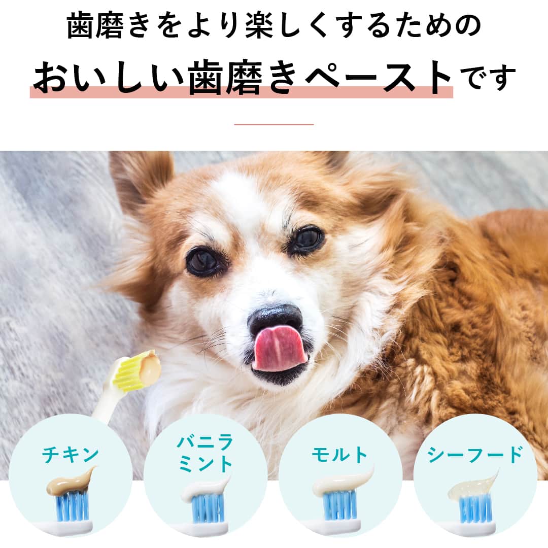おすすめの犬用歯磨き粉ビルバックC.E.T.®歯みがきペーストの中身とフレーバー