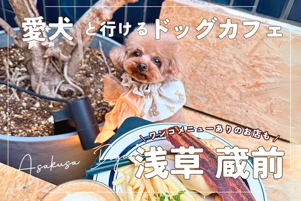 【浅草・蔵前ドッグカフェ】愛犬と行ける人気カフェ・レストラン21選｜大型犬OK【2024年最新】
