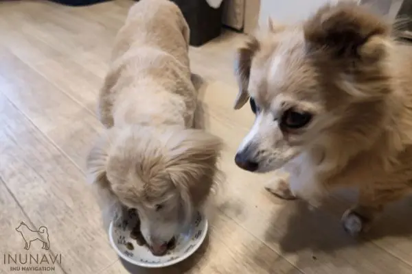 X5bekdbzick9jm X5bekdbzick9jm