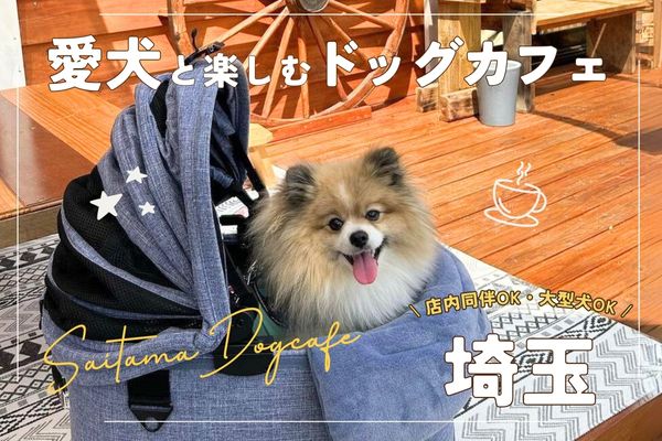 【埼玉】愛犬と楽しむドッグカフェ20選｜人気カフェや大型犬同伴OKのお店も【2024年最新】