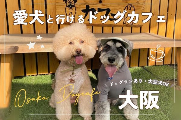 【大阪】犬と行ける人気ドッグカフェおすすめ24選｜ドッグラン付きや犬用メニューありも多数！【2024年最新】