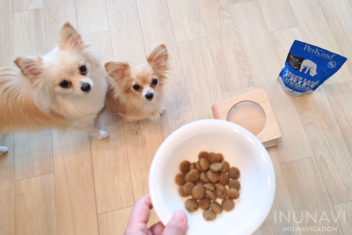 ペットカインド グリーンラムトライプが入った器と愛犬たち