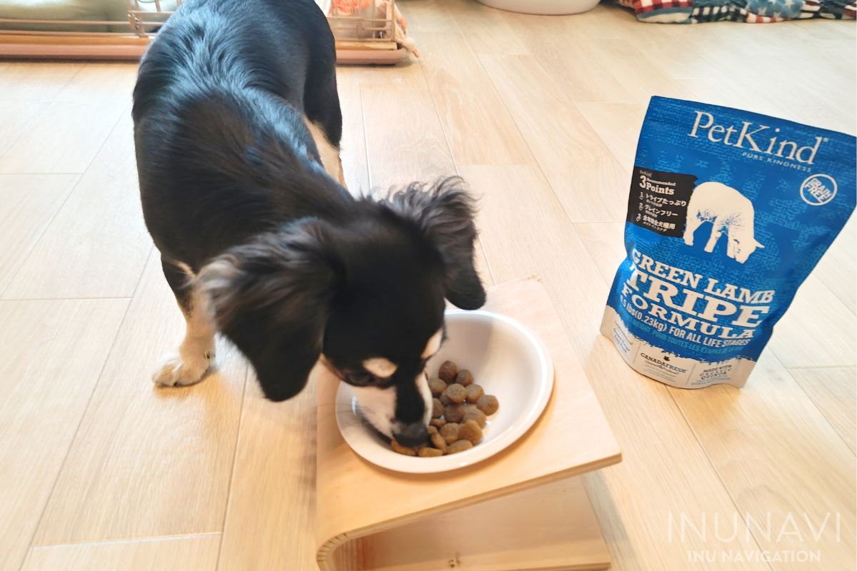 ペットカインド グリーンラムトライプを食べる愛犬