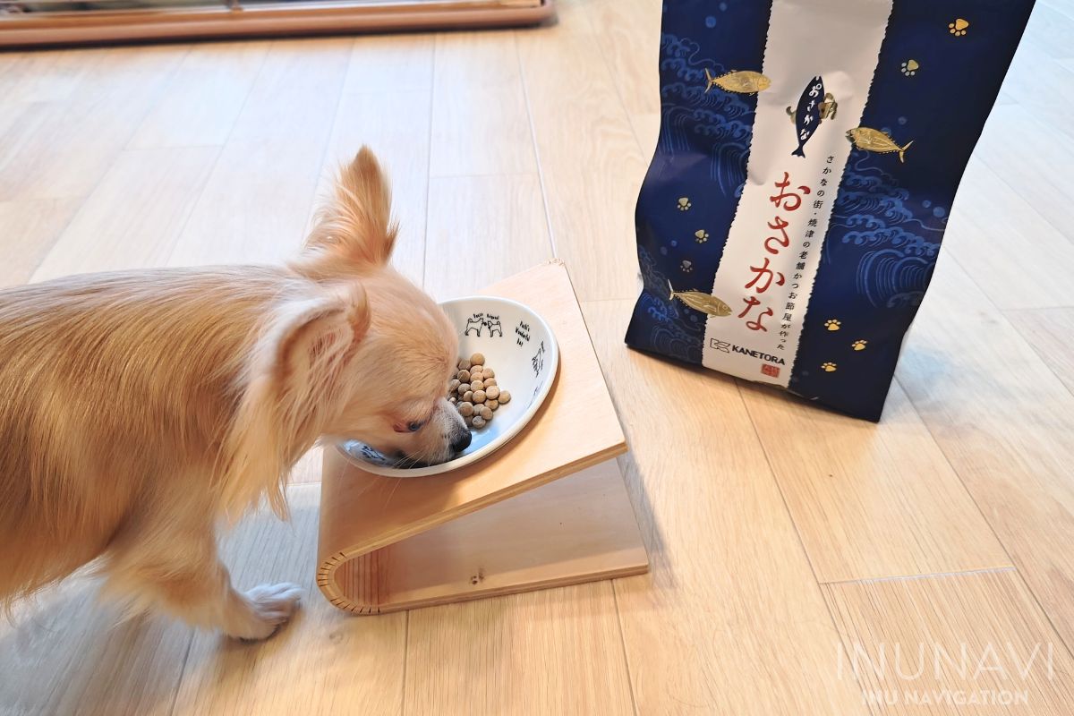 金虎おさかなドッグフードを食べる愛犬 (4)