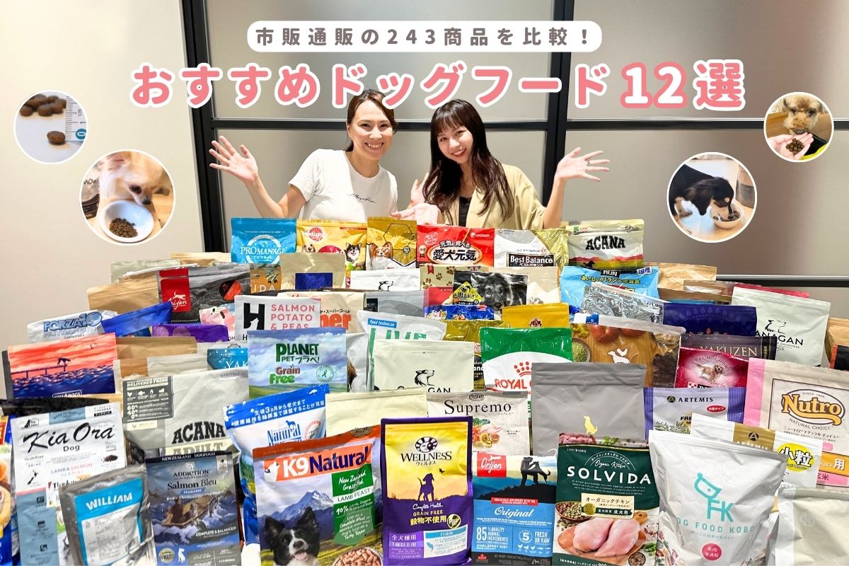 THE 済まそ fu-do 蒼の食 1kg 安心の食物アレルギー対応食✖️4