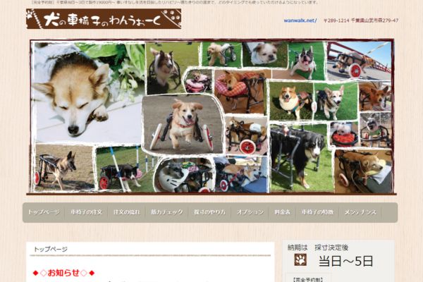 犬用車椅子(柴犬のオーダーメイド)わんうぉーく製品 犬用歩行器（犬用 